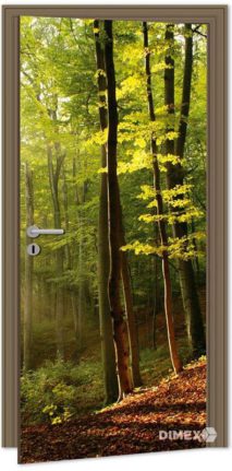 Fototapeta na dvere les